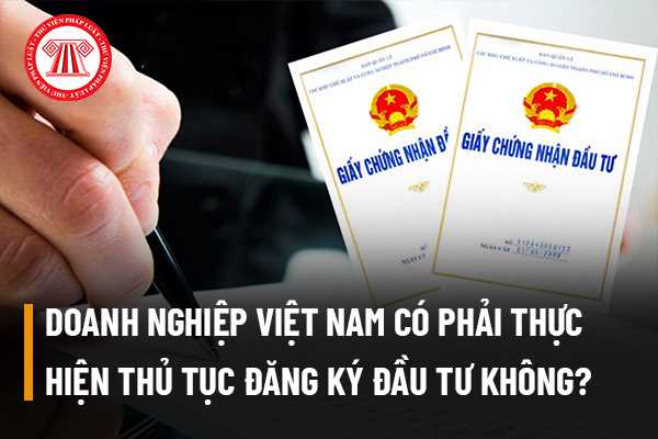 Doanh nghiệp Việt Nam