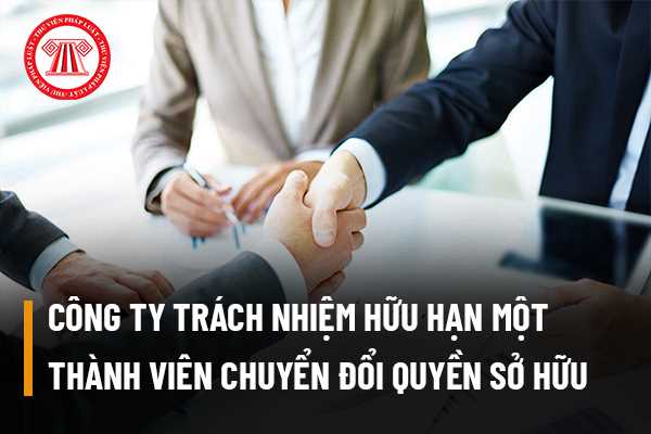 Công ty trách nhiệm hữu hạn một thành viên có thể chuyển đổi quyền sở hữu doanh nghiệp từ người Việt Nam sang người nước ngoài hay không