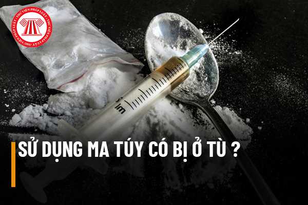Sử dụng ma túy có bị ở tù không?