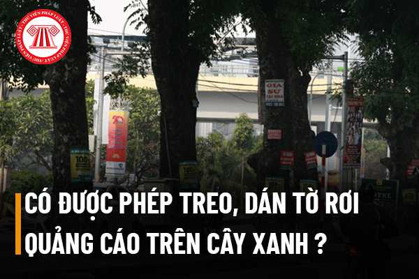 Có được phép treo, dán tờ rơi quảng cáo trên cây xanh dọc các tuyến đường trong nội ô thành phố không?