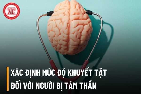 Để yêu cầu thực hiện việc xác định mức độ khuyết tật đối với người bị tâm thần thì cần hồ sơ gì?