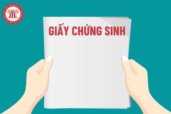 Xuất trình Giấy chứng sinh thời điểm nào khi nhập viện thì sẽ được hưởng quyền lợi bảo hiểm y tế?