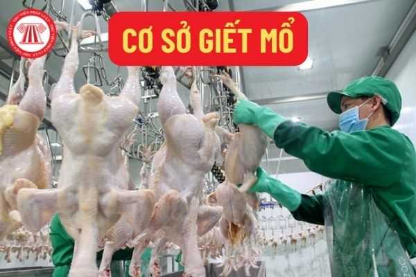 Cơ sở giết mổ thải chất rắn nguy hại 