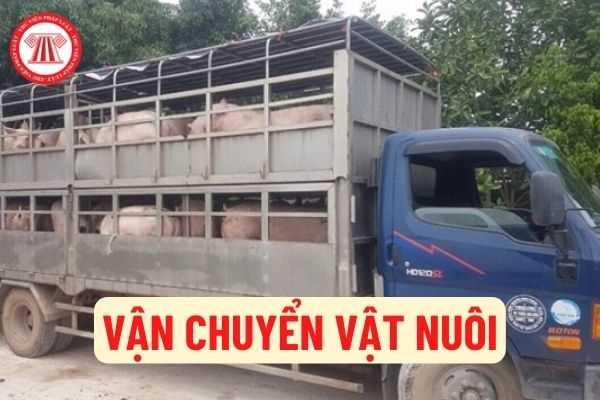 Vận chuyển vật nuôi 