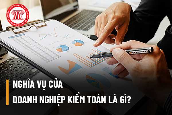 Nghĩa vụ của doanh nghiệp kiểm toán là gì? Kiểm toán viên hành nghề có được mua cho bảo hiểm trách nhiệm nghề nghiệp hay không?