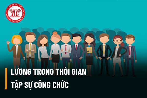 Người tập sự công chức sẽ được hưởng 85% lương hay 100% lương trong thời gian tập sự công chức?