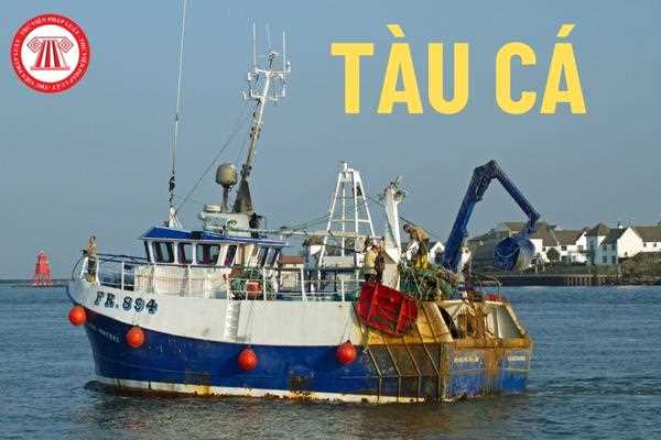 Thiết bị cấp đông, làm lạnh và bảo quản thủy sản đối với tàu cá ngoài vùng biển Việt Nam nên để ở nhiệt độ nào là thích hợp?