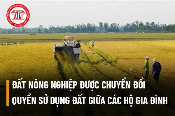 Đất nông nghiệp được chuyển đổi quyền sử dụng đất giữa các hộ gia đình thì có được miễn lệ phí trước bạ không?