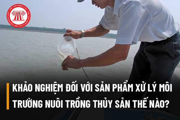 Cở sở nuôi trồng thủy sản thực hiện khảo nghiệm đối với sản phẩm xử lý môi trường nuôi trồng thủy sản thế nào?