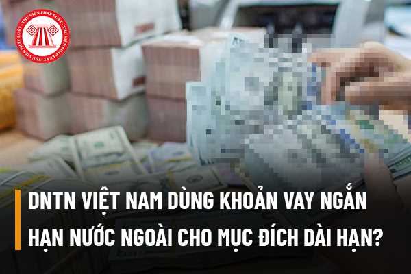 Doanh nghiệp tư nhân Việt Nam có thể dùng khoản vay ngắn hạn nước ngoài ...