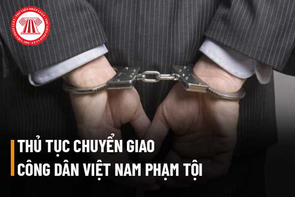 Thủ tục chuyển giao công dân Việt Nam phạm tội
