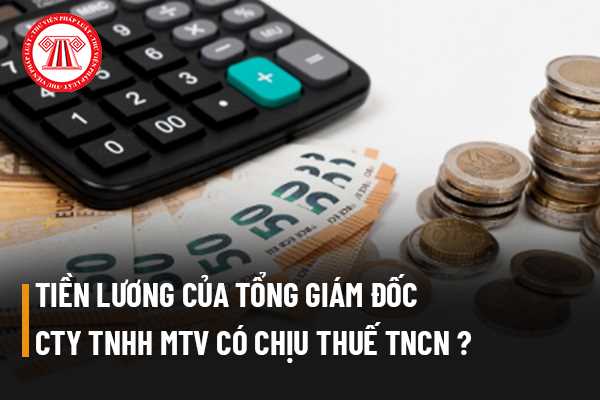 Tiền lương của Tổng giám đốc công ty trách nhiệm hữu hạn một thành viên do cá nhân làm chủ có phải chịu thuế thu nhập cá nhân không?