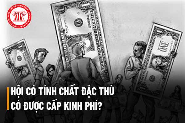 Hội có tính chất đặc thù có được cấp kinh phí để thực hiện các hoạt động, dự án của hội đề ra hay không?