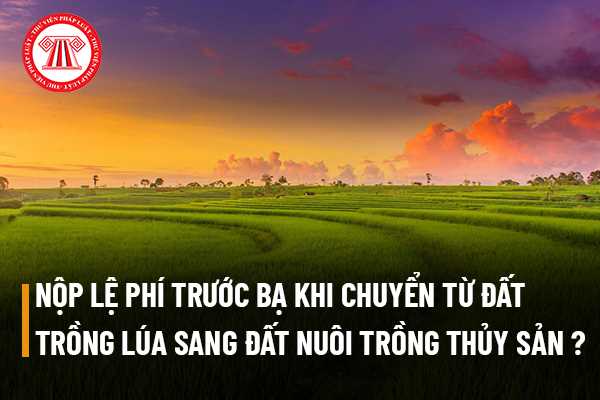 Chuyển mục đích từ đất trồng lúa sang đất nuôi trồng thủy sản thì nộp lệ phí trước bạ bao nhiêu? 