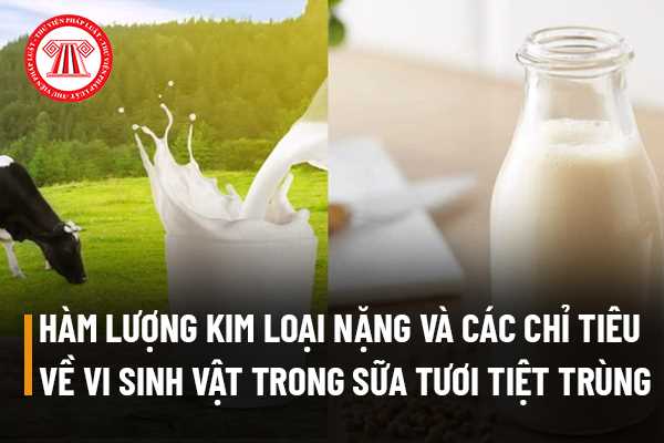 Hàm lượng kim loại nặng và các chỉ tiêu về vi sinh vật được phép có trong sữa tươi tiệt trùng là bao nhiêu?