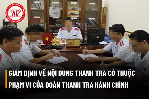 Việc trưng cầu giám định về vấn đề liên quan đến nội dung thanh tra có thuộc phạm vi quyền hạn của thành viên Đoàn thanh tra hành chính không?