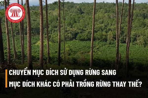 Chuyển mục đích sử dụng rừng sang mục đích khác có phải trồng rừng thay thế hay không?