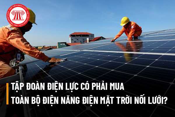 Tập đoàn điện lực Việt Nam có phải mua toàn bộ điện năng từ các dự án điện mặt trời nối lưới hay không?