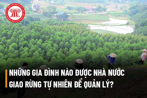 Rừng tự nhiên