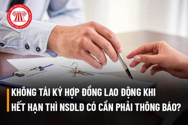 Hợp đồng lao động