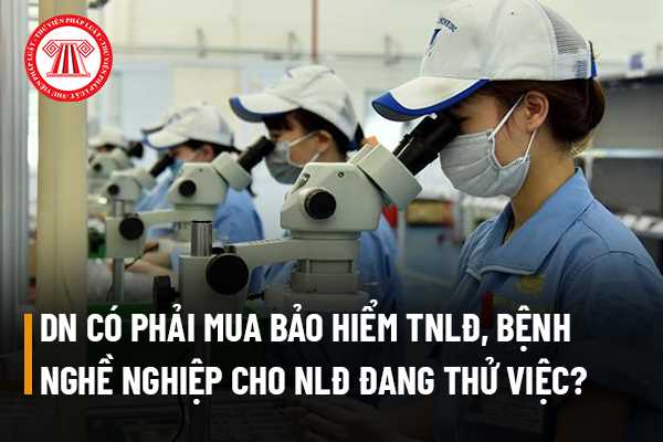 Doanh nghiệp có phải mua bảo hiểm tai nạn lao động, bệnh nghề nghiệp cho người lao động đang thử việc hay không?