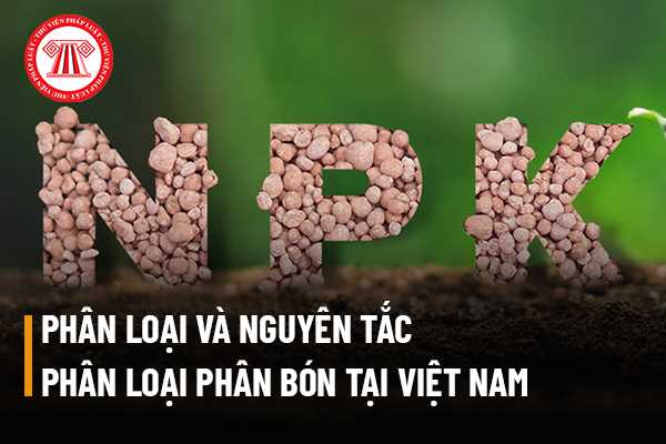  Tại Việt Nam phân bón được phân loại thành bao nhiêu loại khác nhau?