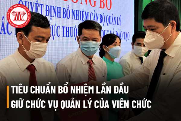 Viên chức để đáp ứng đủ tiêu chuẩn và điều kiện cho việc bổ nhiệm lần đầu giữ chức vụ quản lý cần những yêu cầu gì?