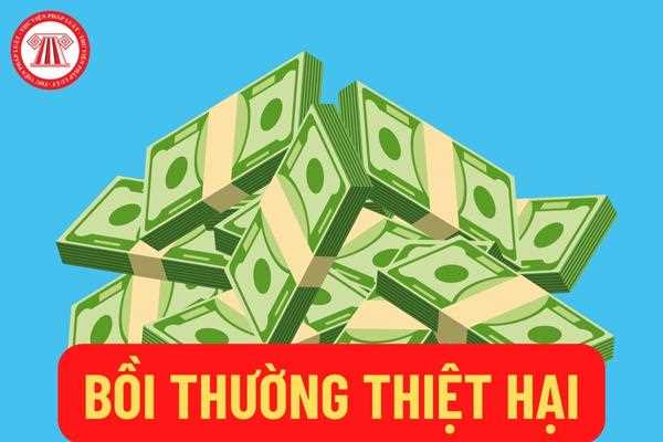 Trách nhiệm bồi thường thiệt hại