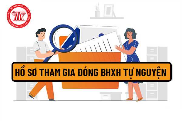 Bảo hiểm xã hội tự nguyện