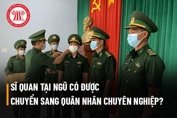 Quân nhân chuyên nghiệp