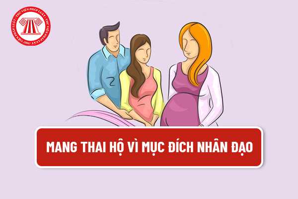 Những tổ chức, hoạt động nào liên quan đến nhân đạo và cách tham gia vào chúng như thế nào?