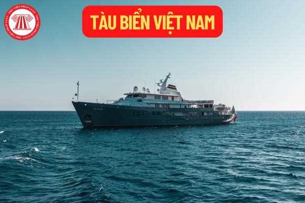 Tàu biển Việt Nam