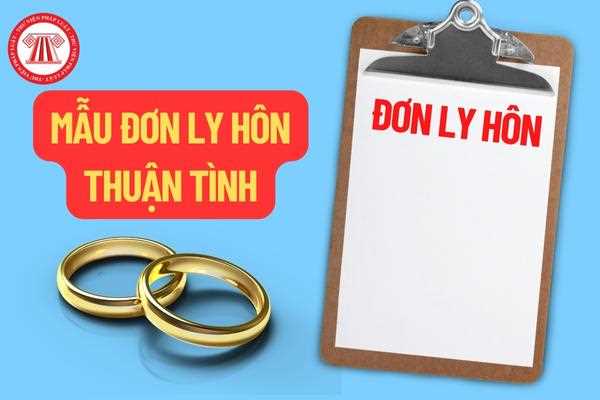 Mẫu đơn ly hôn thuận tình và cách ghi đơn ly hôn thuận tình theo ...