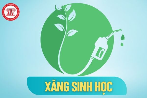 Xăng sinh học E10