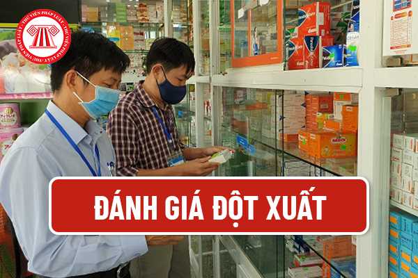 Đánh giá đột xuất