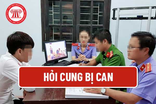 Hỏi cung bị can 