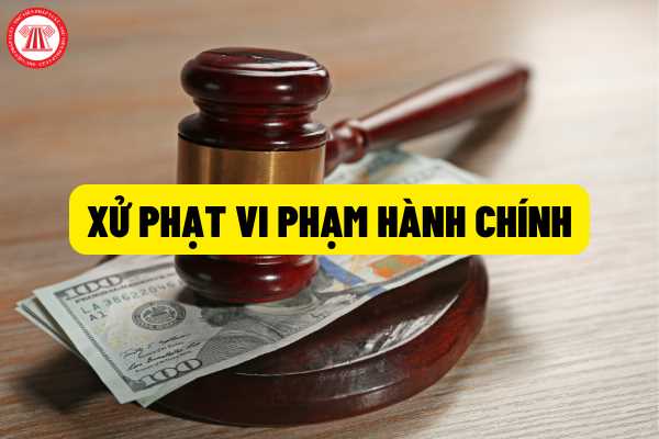 Xử lý vi phạm hành chính thông qua Cổng thông tin quốc gia và Cổng Dịch vụ Bộ Công an