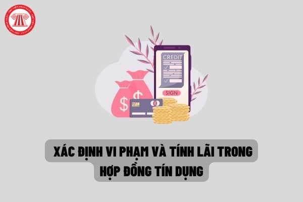 Xác định vi phạm và tính lãi trong hợp đồng tín dụng