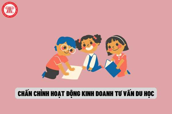 Chấn chỉnh hoạt động tổ chức kinh doanh của các tổ chức kinh doanh dịch vụ tư vấn du học trên địa bàn thành phố Hồ Chí Minh