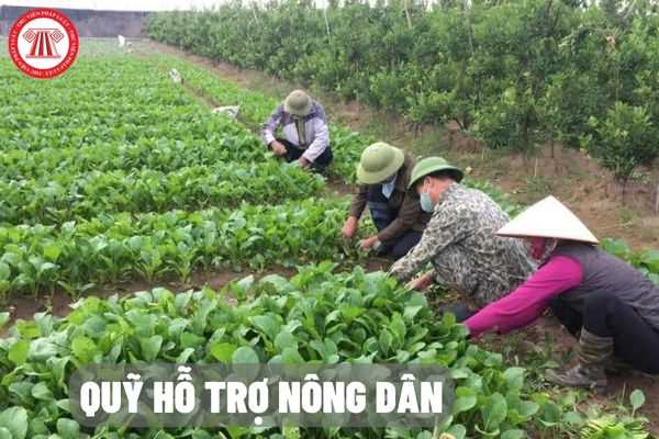 Mức phụ cấp của Quỹ Hỗ trợ nông dân đối với cán bộ nhà nước trực tiếp quản lý, điều hành quỹ là bao nhiêu?