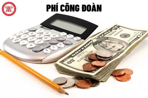 Chi nhánh đóng kinh phí công đoàn tại địa bàn nào?