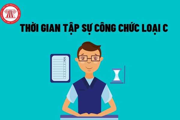 Thời gian tập sự của công chức loại C là bao lâu? 