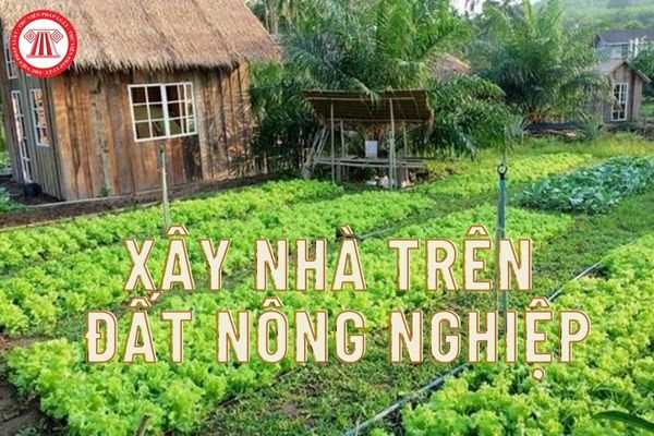 Xây nhà trên đất nông nghiệp trồng cây lâu năm bị xử phạt vi phạm hành chính là bao nhiêu?