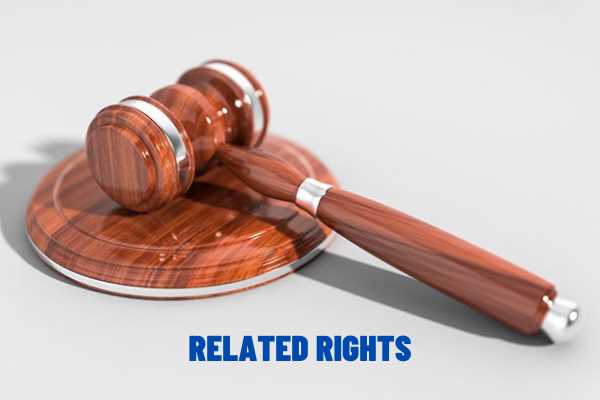 How is term of protection of related rights stipulated in Vietnam? What actions infringe related rights?