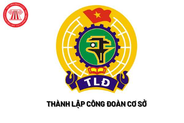 Công đoàn cơ sở được thành lập theo trình tự nào?