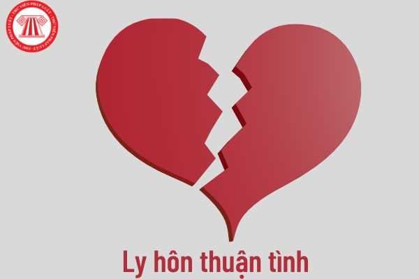 Ly hôn thuận tình