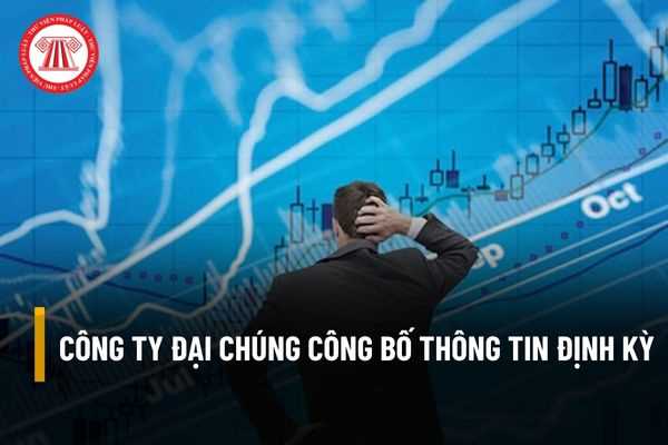 Công ty đại chúng có vốn góp của chủ sở hữu là 150 tỷ đồng thực hiện việc công bố thông tin định kỳ như thế nào?