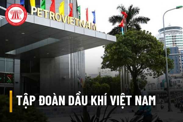 Tập đoàn Dầu khí Việt Nam có tư cách pháp nhân hay không?