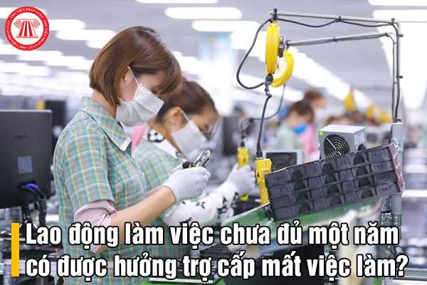 Trợ cấp mất việc làm cho người lao động