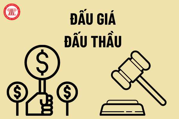 Đấu giá, đấu thầu